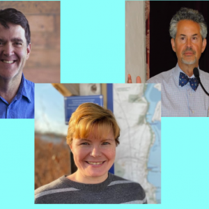 Senate 11 candidates from left are Glenn Curry, Robyn Stanicki and Charles Pattavina.