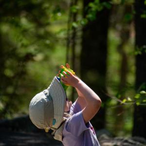 (Photo courtesy Coastal Maine Botanical Gardens)