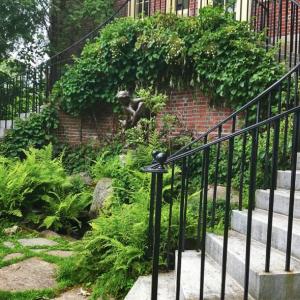 Restored Fauns Garden double staircase. (Photo courtesy Camden Public Library)