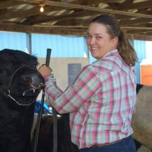2018 Aldermere Apprentice, Samantha Plank, shows an Aldermere Belted Galloway bull at the Union Fair. (Photo courtesy Maine Coast Heritage Trust)