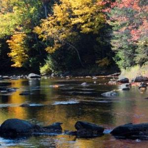 The Whitefield Salmon Preserve now includes 1.7 miles of protected riverfront on the Sheepscot, which support Atlantic salmon habitat, filter water, and store carbon to slow climate change. (Photo by Tim Libby)