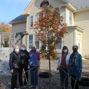 Planting trees in Camden. L to R: Ruth Ellison, Priscilla Granston, Karen Cease, Janice Esancy, and Debra Stokes. (Photo courtesy Camden Garden Club)