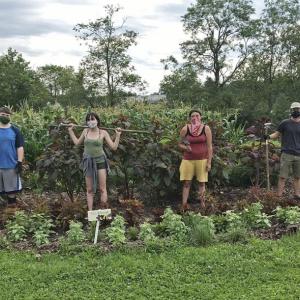 Student interns Levi Farrell, Jazmyn Dodge, and Madison Resh and Troy Howard Middle School garden coordinator David Wessels. (Photo courtesy Belfast Garden Club)