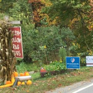 There’s little doubt about this household’s politics. But it doesn’t tell everything about us.
photo by Diane O’Brien
yard signs