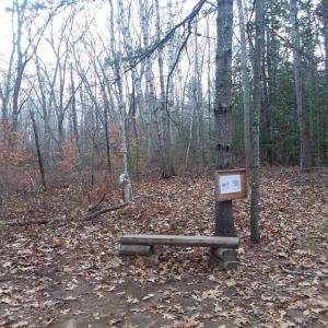 Along the 1.4 loop trail are pages of Liza Gardner Walsh’s latest children’s book, “The Fall Fairy Gathering.” Photo by Kay Stephens