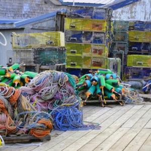 Traps (Photo courtesy George Hardt)