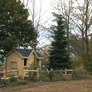 (Photo courtesy Wales Park Community Garden)
