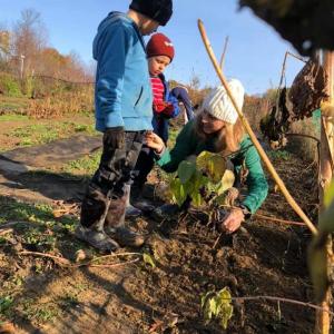 Garden coordinator, Millie, works with children at Hope Elementary. (Photo courtesy Maine Environmental Education Association (MEEA))