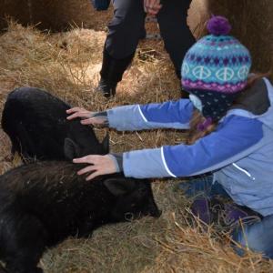 Selah Betz, of Rockland, spent an afternoon with Noel and Christopher, sitting quietly, petting and feeding them with a soothing presence. (Photo by Lynda Clancy)