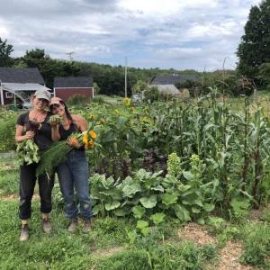 Community Gardeners at Erickson Fields Preserve in Rockport. (Photo by Aaron Englander)