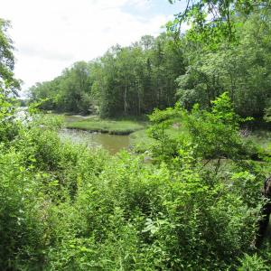 Weskeag Headlands Preserve. (Photo courtesy Georges River Land Trust)