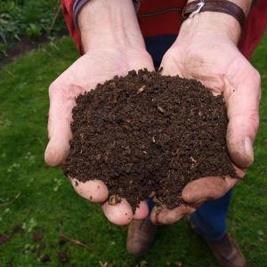 (Photo courtesy University of Maine Cooperative Extension)