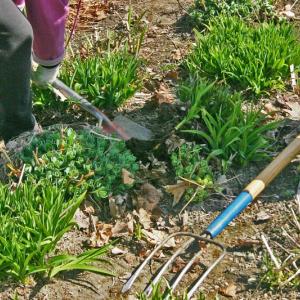 Dig and Divide at Krackar Garden. (Photo courtesy Belfast Garden Club)