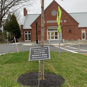 A sugar maple, planted and dedicated to former Rockport Town Manager Rick Bates.