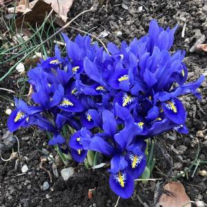 Happy Easter-Happy Spring! (Photo by Carolyn Kanicki)