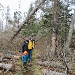Susan St. John, donor of the Ash Point Preserve, stands with João Bentes and his son Oliver. (Photo courtesy Georges River Land Trust)