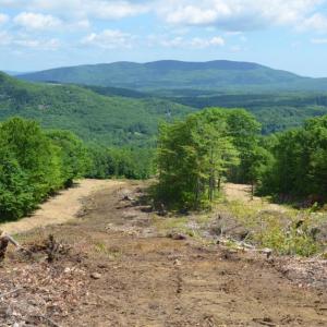The Snow Bowl, in July 2014, when heavy logging was underway during the Ragged Mountain redevelopment project. (File photo Lynda Clancy)