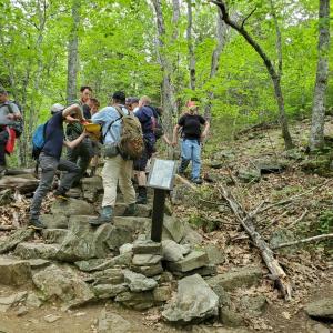 Camden firefighters, Coastal Mountain Search and Rescue volunteers and Camden Hills State Park staff and volunteers help carry a hiker down Megunticook Trail June 11. (Photo courtesy Camden Fire Chief Chris Farley)