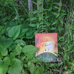 Shadow Chasers by Elly MacKay. (Photo by Sue McClintock)
