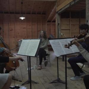(Photo courtesy Friends of Daponte String Quartet)