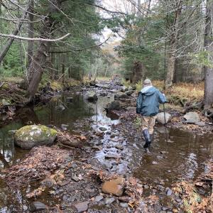 Jim Babb in Mill Brook. (Photo courtesy Coastal Mountains Land Trust)