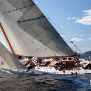‘Gleam’ on course (Photo courtesy Alison Langley)