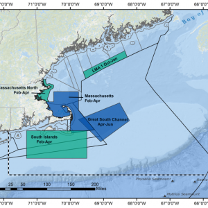 “One of the methods for reducing the number of buoy lines when and where right whales are present is to extend the boundaries of one seasonal buoy line closure area, and implement two new areas where vessel operators are prohibited from fishing for lobster or Jonah crab with traps or pots using buoy lines to mark the ends of trawls and retrieve gear,” said NOAA Fisheries. “However, they would be able to fish in these areas using ropeless trap or pot gear. Two existing seasonal restricted areas are also modified to allow fishing without buoy lines.”