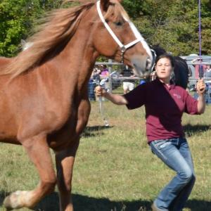 MOFGA’s annual Common Ground Fair is a Maine tradition, but for the second year in a row, it will not take as usual in Unity at the nonprofit’s fairgrounds, given the ongoing pandemic. (File photo Lynda Clancy)