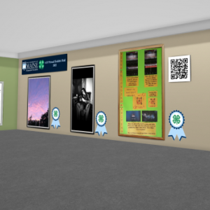 Portion of the Maine 4-H virtual exhibit hall on the University of Maine Cooperative Extension website. (Photo courtesy UMaine Extension)