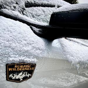 It’s that season again, but Subaru is ready with a new Outback Wilderness model.