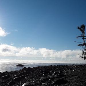 Mike’s deserted shore looks about the same as it did 40 years ago when he was a boy exploring his world.
photo by Maura shag rock