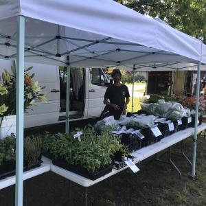 (Photo courtesy Camden Farmers Market)