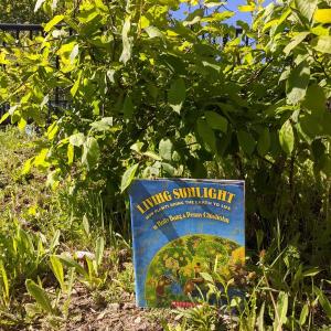 Living Sunlight: How Plants Bring the Earth to Life by Molly Bang and Penny Chisholm.
(Photo by Sue McClintock)