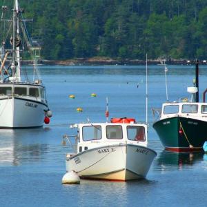 Boothbay Harbor. (Photo courtesy University of Maine Cooperative Extension 4-H)