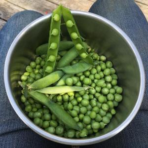 peas