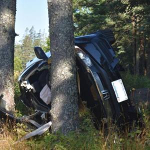 This photo faces the front of the car and the road that the car had left before leaving the road, hitting a stone, and then coming to rest against two trees. (Photo by Sarah Thompson)
