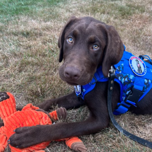 Baxter will permanently join Maine Bureau of Emergency Communications in April. (Photo courtesy Department of Public Safety)