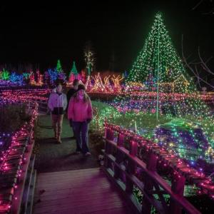 Gardens Aglow returns to a walking tour in November. Mike Leonard photo