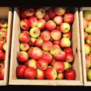 Fresh Local Apples!