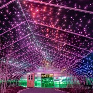 Gardens Aglow scene, 2018. Mike Leonard photo
