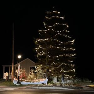 The town Christmas tree and the Robie Ames boat are lighted up for the season.
Photo by Rob Newcombe tree