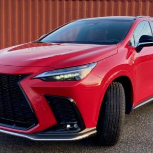 Redline red adds a Christmassy touch to the NX350 F Sport.