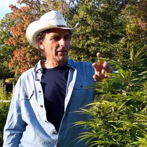 Ed Geis grows USDA certified organic hemp in Camden and owns Bald Mountain Botanicals.