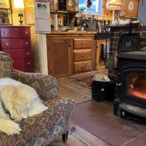 This is how Fritz is spending these chilly days, curled up in his favorite chair by the fire.
photo by Diane O’Brien
