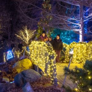 Gardens Aglow 2022. Courtesy photo