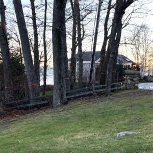 As of Dec. 1, multiple trees on Lisa Gorman’s property, both abutting the Bond property and that of the Town of Camden, as Laite Beach Park, were wrapped with red tape. (File photo)