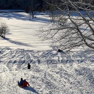 Sledding