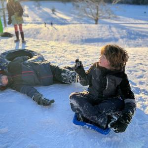 Sledding