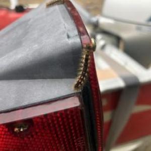 Browntail moth caterpillar displaying the distinctive two red dots and prickly, toxic hairs, hitchhiking to a new home. (Photo courtesy Maine Forest Service)