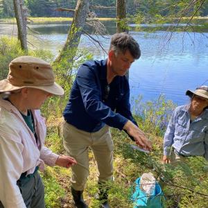 (Left to right) Maine Forest Service Entomologist Colleen Teerling, Coastal Rivers Conservation Trust Executive Director Steven Hufnagel and Coastal Rivers Director of Land Conservation Joan Ray attach a biocontrol nest to infested eastern hemlock at the Half Moon Pond Conservation Area in Bristol. (Photo courtesy Coastal Rivers Conservation Trust)